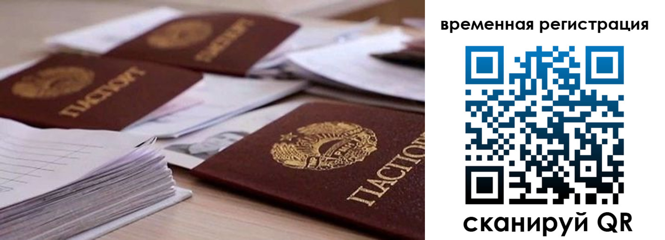 временная регистрация поиск в Камчатском крае